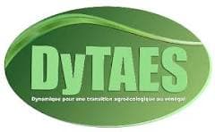 Logo DyTAES