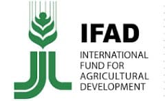 Logo FIDA / IFAD