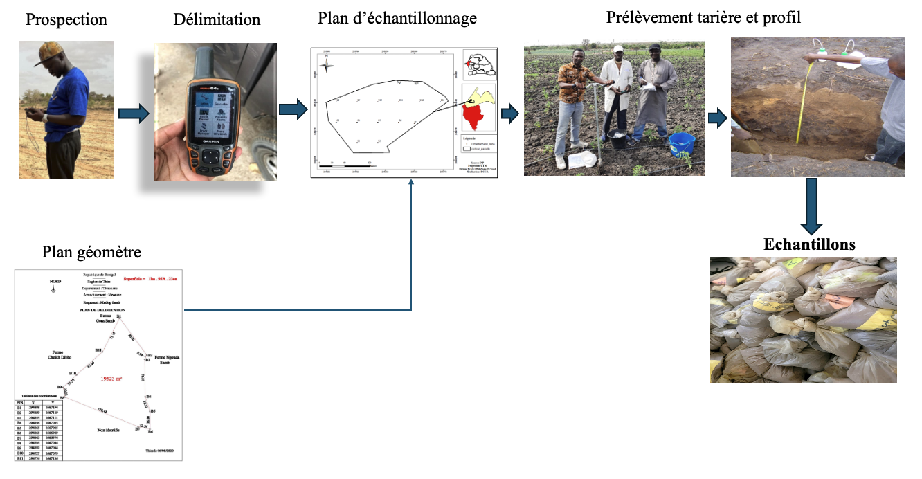 Processus AXE 1 — Prospection, Délimitation, Plan d'échantillonnage, Plan géomètre, Prélèvement tarière et profil, Échantillons