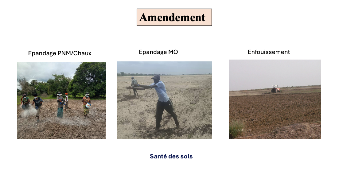 Amendement : épandage PNM/Chaux, épandage MO, enfouissement — santé des sols