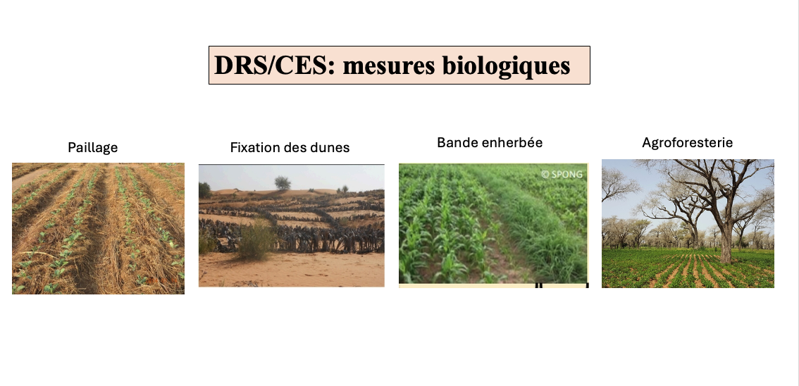 DRS/CES mesures biologiques : paillage, fixation des dunes, bande enherbée, agroforesterie