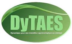 Logo DyTAES