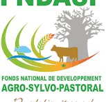 Logo FNDASP